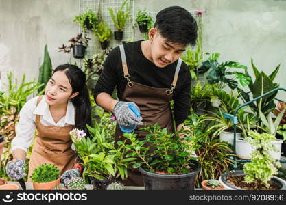 Portrait asian young gardener couple wearing apron use garden equipment and help to take care the houseplant in shop together, small business with green plant