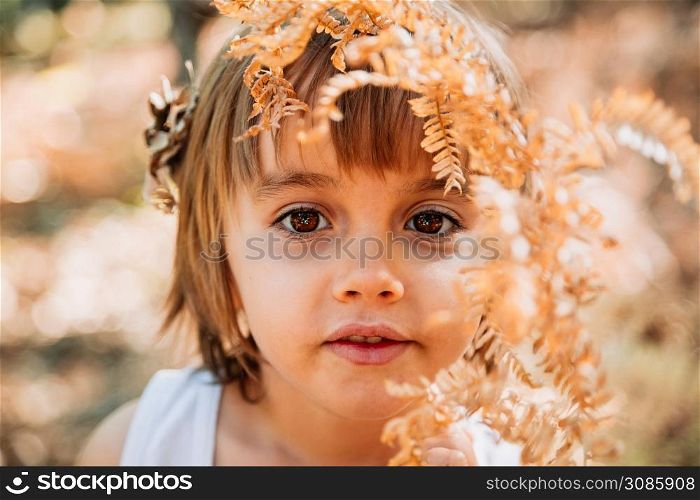 Portrait little caucasian baby girl squatting in the forest among ferns observes plants. Little caucasian baby girl squatting in the forest among ferns