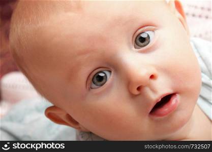 portrait of 6 months male child baby boy in blue eye