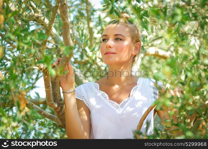 Portrait of a beautiful gentle girl in olive garden, picking autumn harvest, cultivation of fruits, healthy life in a countryside