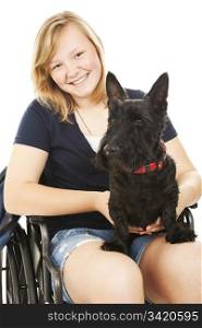Portrait of a beautiful teen girl in a wheelchair holding her Scotty dog. White background.