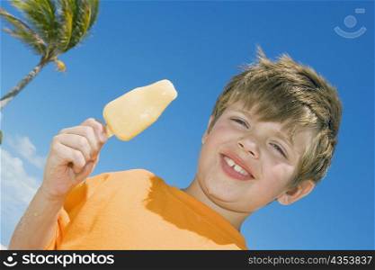 Portrait of a boy holding an ice-cream and smiling