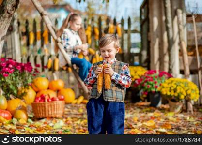 Portrait of a boy with corn in his hands. Children pick ripe vegetables and fruits on the farm in autumn. The concept of the autumn harvest on the farm.. Portrait of a boy with corn in his hands. Children pick ripe vegetables and fruits on the farm in autumn.