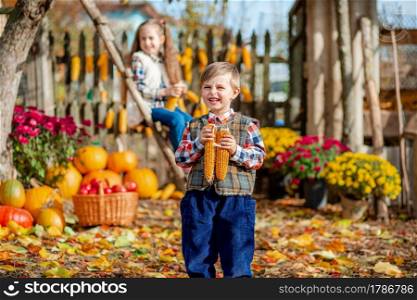 Portrait of a boy with corn in his hands. Children pick ripe vegetables and fruits on the farm in autumn. The concept of the autumn harvest on the farm.. Portrait of a boy with corn in his hands. Children pick ripe vegetables and fruits on the farm in autumn.