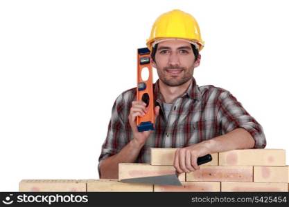 Portrait of a bricklayer