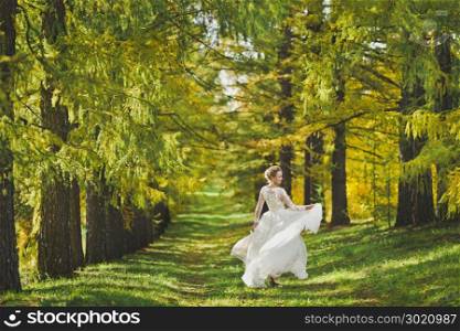 Portrait of a bride dancing on a background of shaded spruce Avenue.. The bride spinning in the developing white dress on background of the fo
