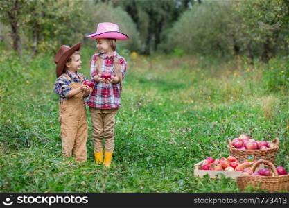Portrait of a brother and sister in a garden with overflowing baskets of red apples. A boy and a girl in bovboyskih hats are involved in the autumn collecting apples.. A boy and a girl in bovboyskih hats are involved in the autumn collecting apples.
