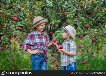 Portrait of a brother and sister in the garden with red apples. A boy and a girl are involved in the autumn harvest of apples.. Portrait of a brother and sister in the garden with red apples.