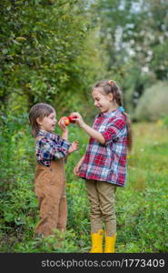 Portrait of a brother and sister in the garden with red apples in their hands. A boy and a girl are involved in the autumn harvesting of apples.. Portrait of a brother and sister in the garden with red apples in their hands.