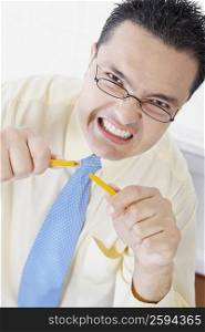 Portrait of a businessman holding broken pieces of a pencil