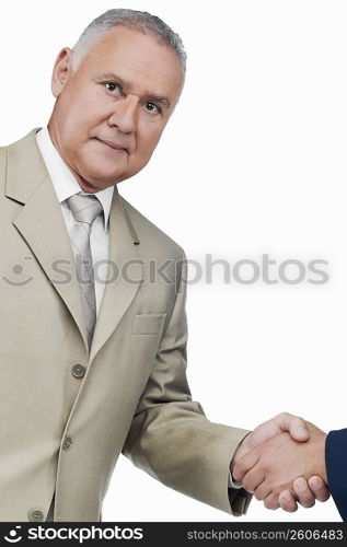 Portrait of a businessman shaking hands with another businessman