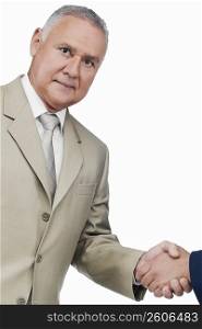Portrait of a businessman shaking hands with another businessman
