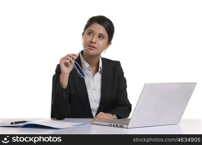 Portrait of a corporate WOMEN
