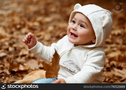 Portrait of a cute baby boy with tree leaf in hands sitting on the ground covered with dry tree leaves in autumn park, happy childhood concept