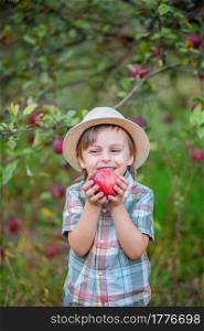 Portrait of a cute boy in the garden with a red apple. Autumn harvest of apples.. Portrait of a cute boy in the garden with a red apple.