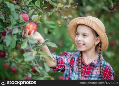 Portrait of a cute girl in a farm garden with a red apple. Autumn harvest of apples.. Portrait of a cute girl in a farm garden with a red apple.
