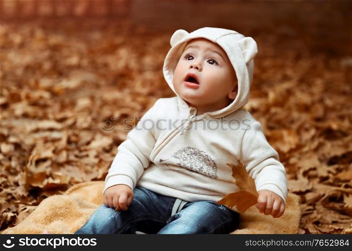 Portrait of a cute little curious boy sitting on the blanket on the ground covered with dry tree leaves and with wonder looking up, enjoying beauty of autumn nature