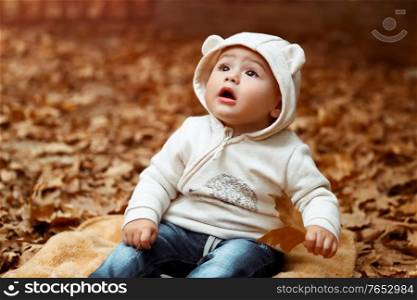 Portrait of a cute little curious boy sitting on the blanket on the ground covered with dry tree leaves and with wonder looking up, enjoying beauty of autumn nature