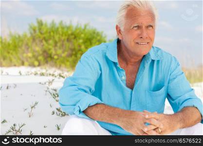 Portrait of a happy attractive thoughtful handsome senior man sitting down outside on a beach and smiling. Portrait of Attractive Handsome Senior Man on Beach