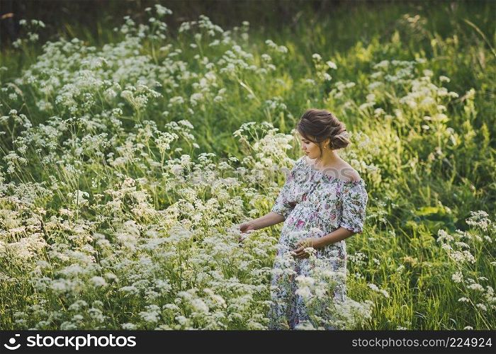 Portrait of a happy pregnant woman in a clearing of white flowers kupyr forest.. Simple female beauty in the meadow of flowers cupira forest 1713.