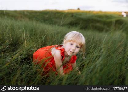 Portrait of a little beautiful girl on nature on summer day vacation. child in red dress is playing in the green grass at the sunset time. The concept of family holiday and time together. Portrait of a little beautiful girl on nature on summer day vacation. child in red dress is playing in the green grass at the sunset time. The concept of family holiday and time together.