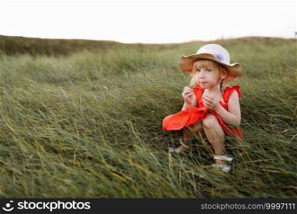 Portrait of a little beautiful girl on nature on summer day vacation. child in red dress is playing in the green grass at the sunset time. The concept of family holiday and time together. Portrait of a little beautiful girl on nature on summer day vacation. child in red dress is playing in the green grass at the sunset time. The concept of family holiday and time together.