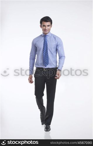 Portrait of a male executive