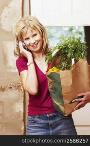 Portrait of a mature woman holding a shopping bag and talking on a mobile phone