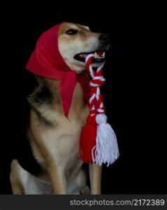 portrait of a mongrel dog with a red scarf and a Martenitsa in his mouth. baba marta celebration. portrait of a mongrel dog with a red bandana and a Martenitsa in his mouth