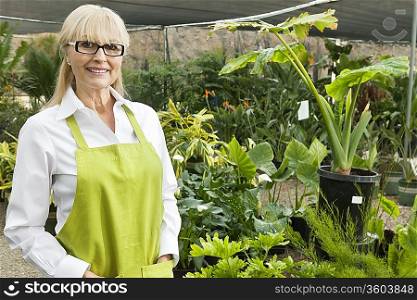 Portrait of a senior gardener in garden center