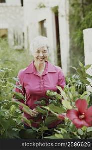 Portrait of a senior woman standing behind plants