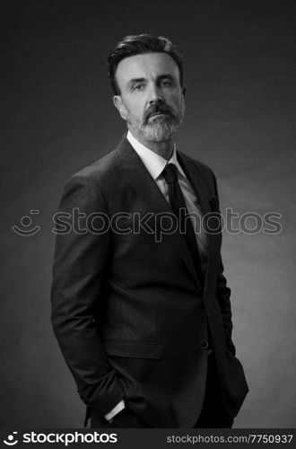 Portrait of a successful stylish elegant senior businessman with a grey beard and casual business clothes confident in photo studio isolated on dark background gesturing with hands. High-quality photo. Portrait of a stylish elegant senior businessman with a beard and casual business clothes in photo studio isolated on dark background gesturing with hands