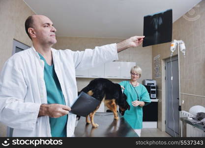 portrait of a veterinarian and assistant in a small animal clinic at work