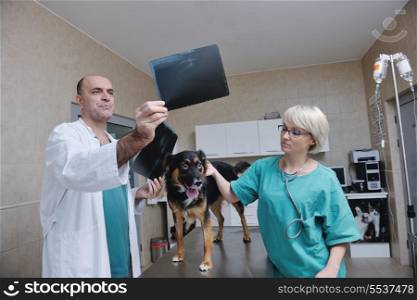 portrait of a veterinarian and assistant in a small animal clinic at work