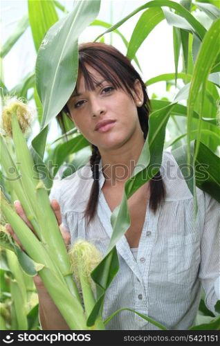 portrait of a woman in corn field