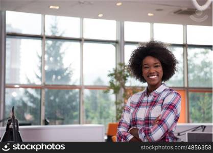 Portrait of a young African American casual business woman in a modern office