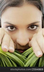 Portrait of a young woman separating wheatgrass with her hands