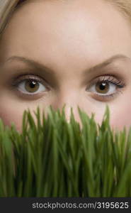 Portrait of a young woman with wheatgrass