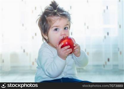 Portrait of adorable cute little baby girl toddler holding and eating a big red apple. Portrait of adorable cute little baby girl