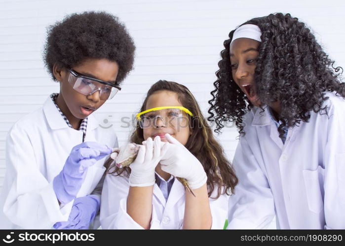 Portrait of African black and caucasian boy and girls studying science with a frog for experiment in classroom at school. Education and Diversity Concept.