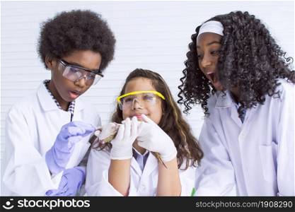 Portrait of African black and caucasian boy and girls studying science with a frog for experiment in classroom at school. Education and Diversity Concept.