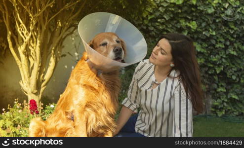 Portrait of an injured Golden Retriever dog with a plastic cone on its neck next to a beautiful Hispanic woman in the garden of their house during sunset. Portrait of an injured Golden Retriever dog with a plastic cone on its neck next to a beautiful Hispanic woman in the garden of their house