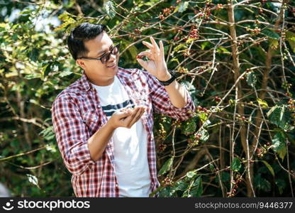 Portrait of Asian coffee picker man. Farmer picking coffee bean in coffee process agriculture. Worker Harvest arabica coffee berries on its branch.