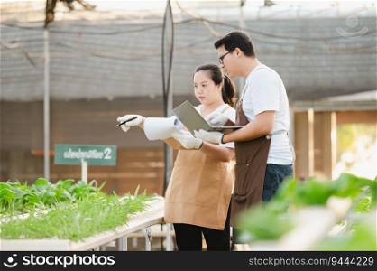 Portrait of Asian farmer man and woman working with laptop in organic vegetable hydroponic farm. Hydroponic salad garden owner checking quality of vegetable in greenhouse plantation.