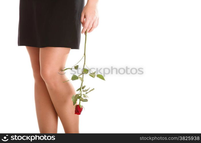 portrait of attractive caucasian woman isolated on white red rose