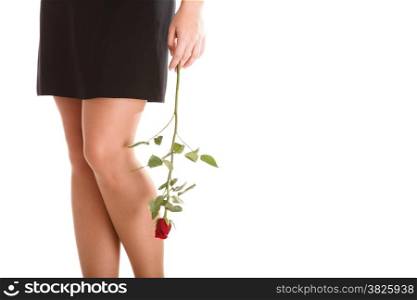 portrait of attractive caucasian woman isolated on white red rose