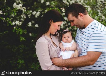 Portrait of baby girl carried between mother and father by garden apple blossom