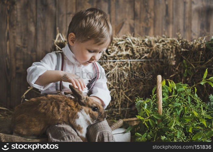 Portrait of baby rabbit among white and hay boxes.. Portrait of a little boy playing with a rabbit 6048.