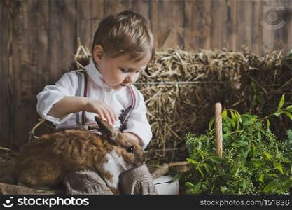 Portrait of baby rabbit among white and hay boxes.. Portrait of a little boy playing with a rabbit 6048.