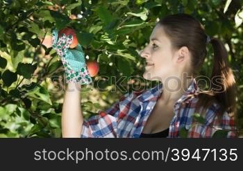Portrait of beautiful smiling woman at garden looking at apples
